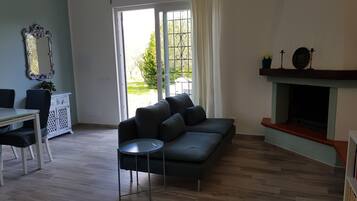 TV, fireplace, books