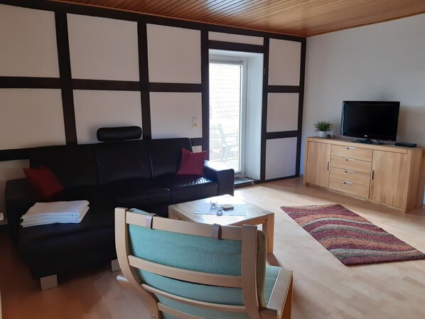 TV - Apartment in a quiet outskirts (Wilsche)