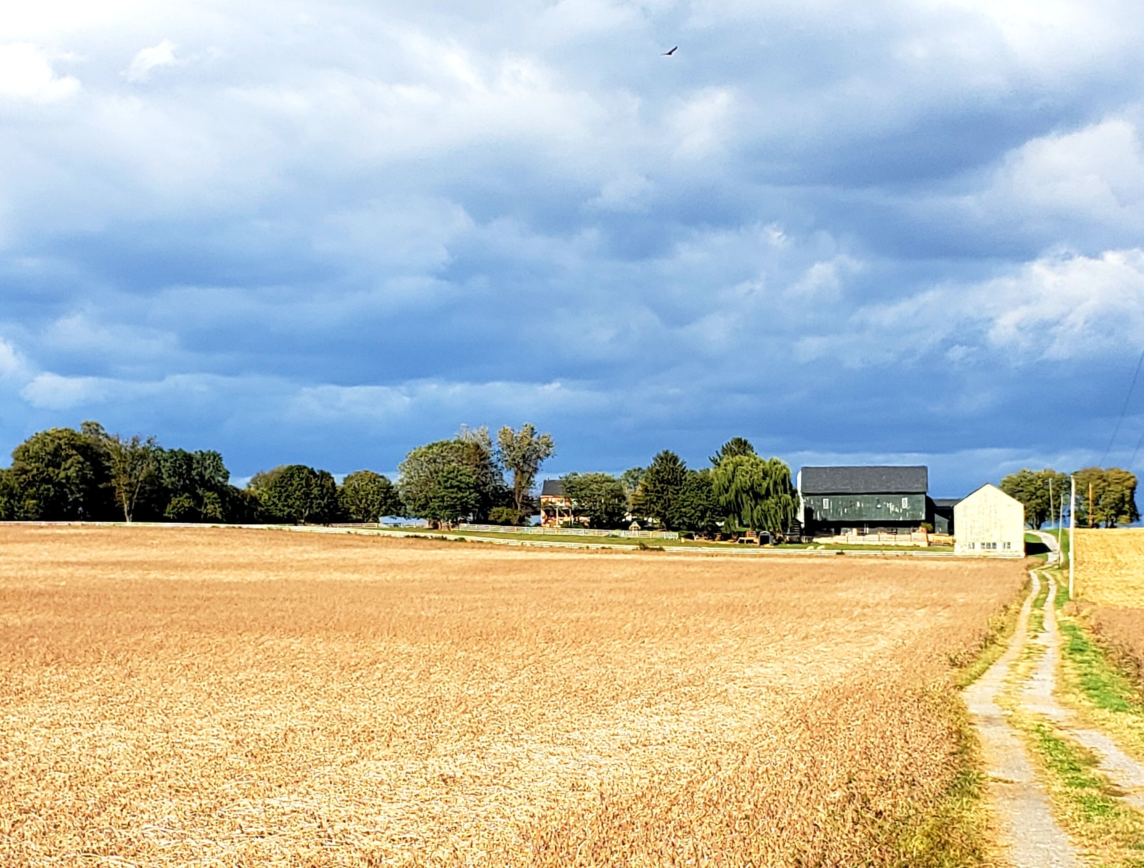 Un paysage rural avec un vaste champ ouvert, une grange et quelques arbres.