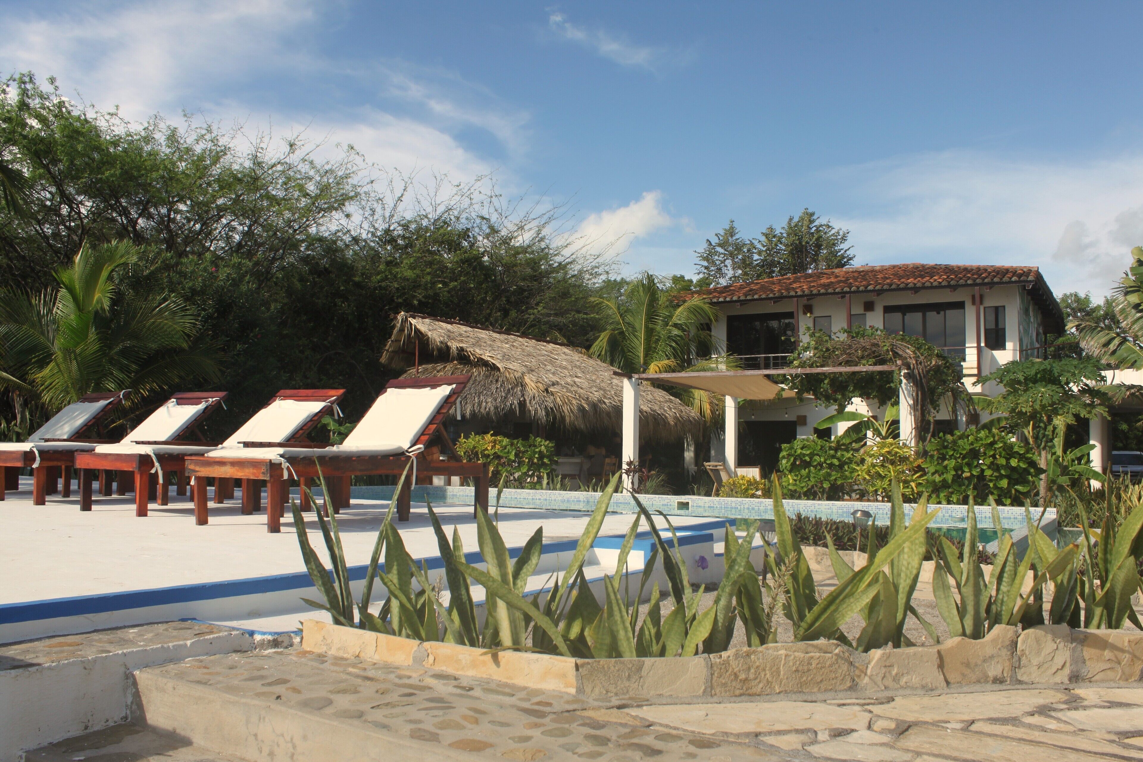 Piscine extérieure, chaises longues