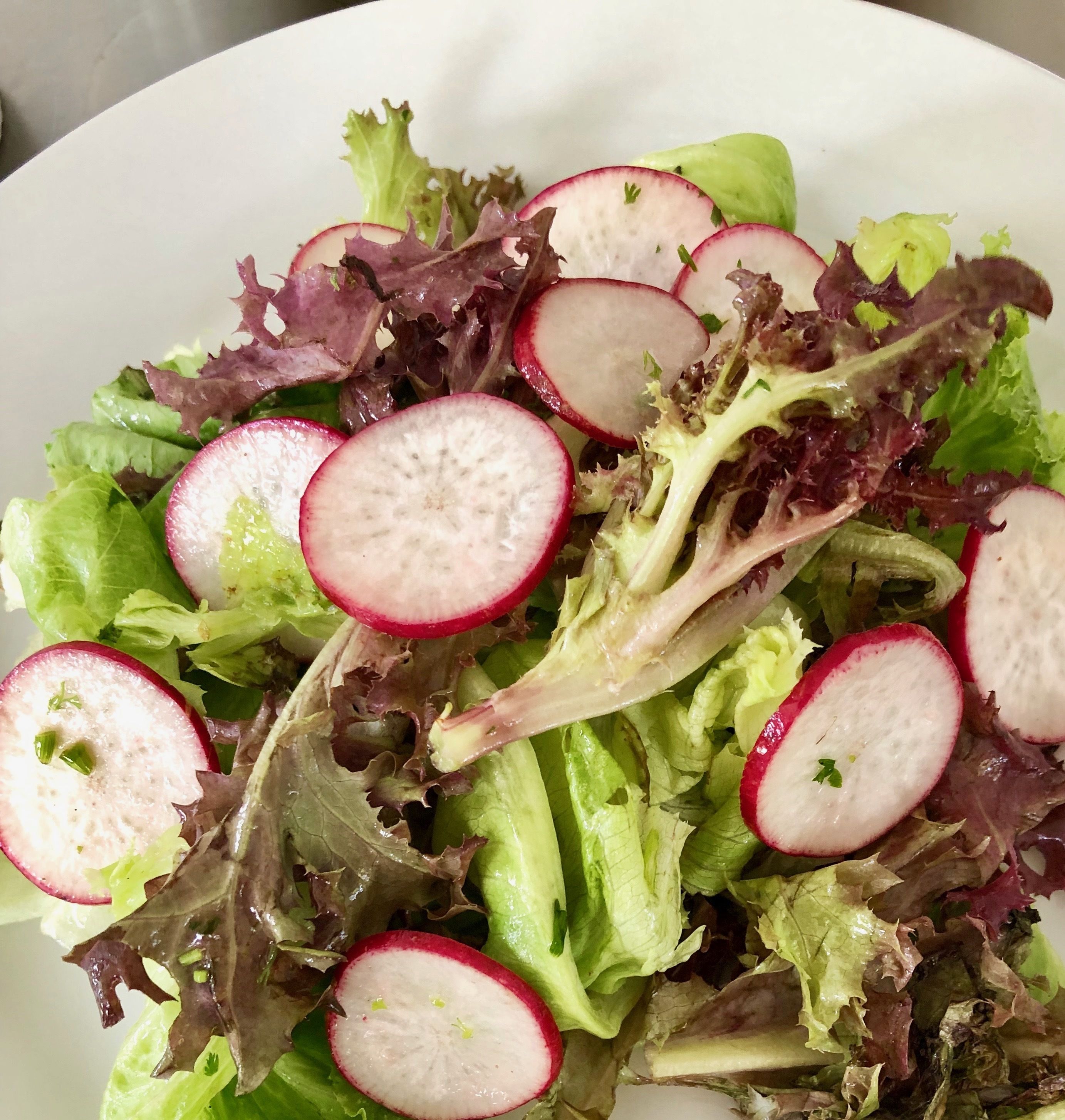 A plate of mixed greens salad with radishes.