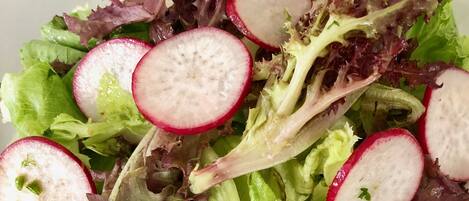 A plate of mixed greens salad with radishes.