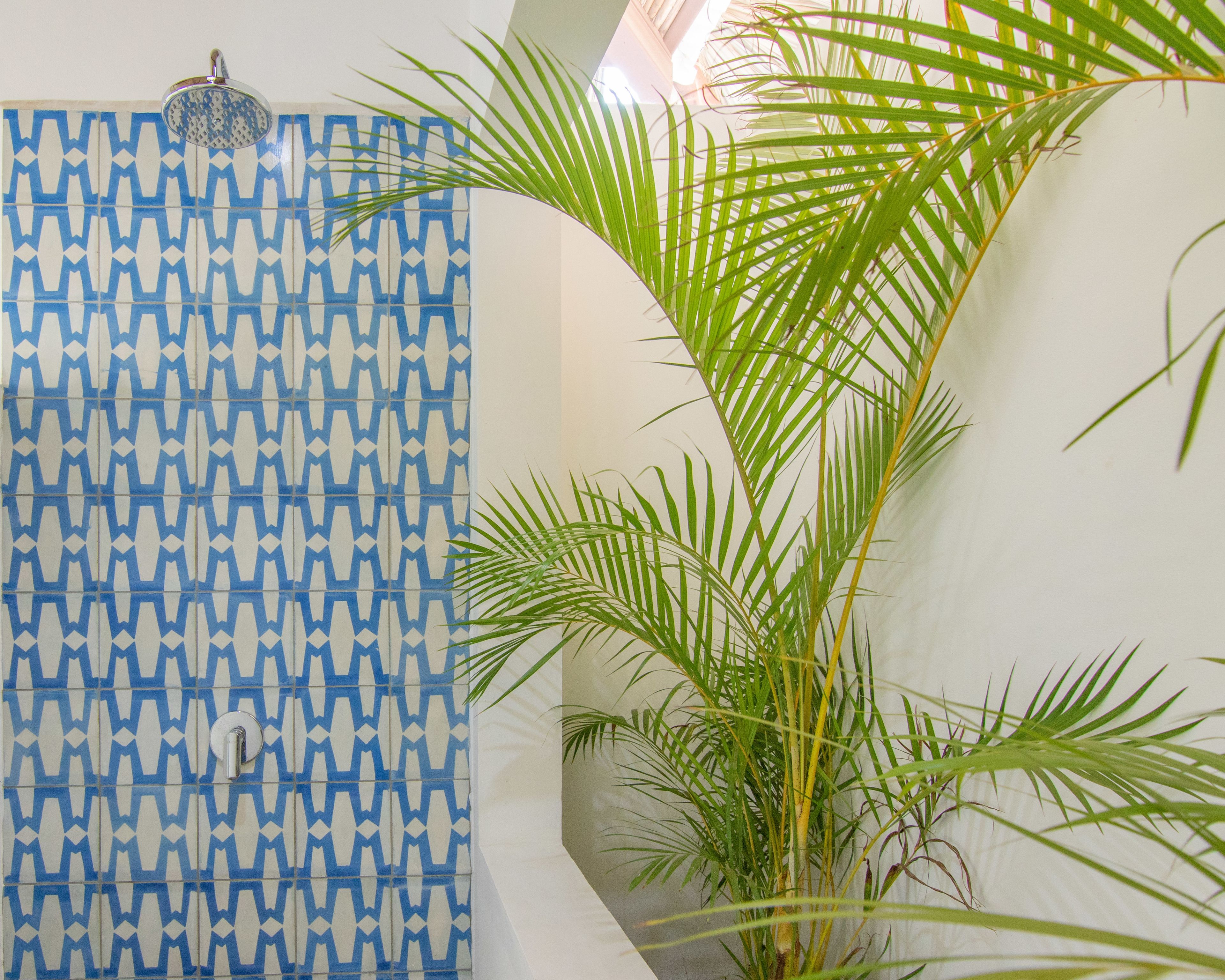 shower, rainfall showerhead, free toiletries, hair dryer