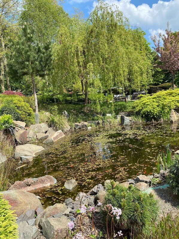 Terrein van de accommodatie