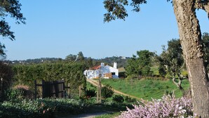 Un paysage rural avec un chemin de terre menant à une maison blanche au toit rouge, entourée de verdure et de plantes en fleurs.