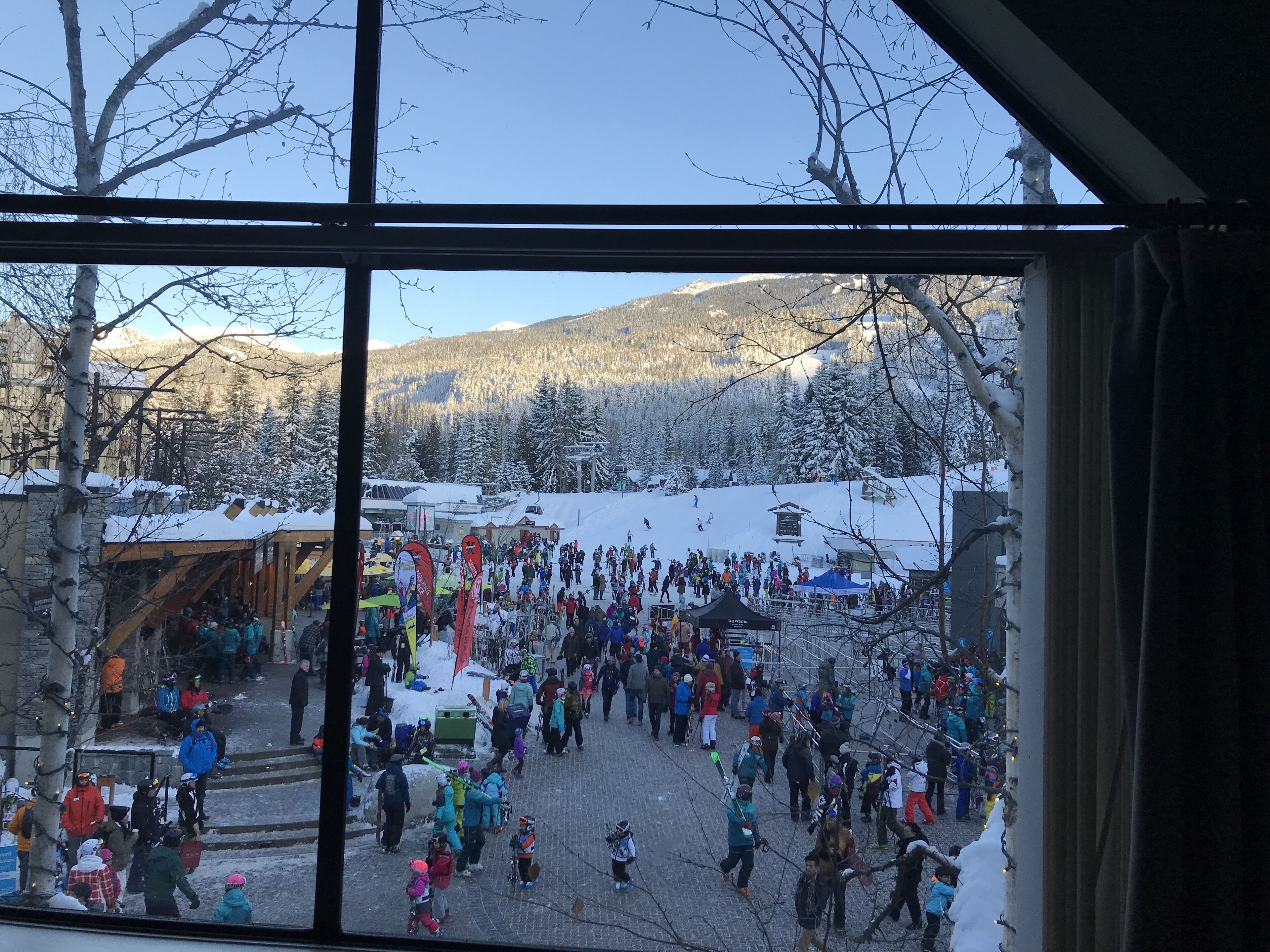 View from property