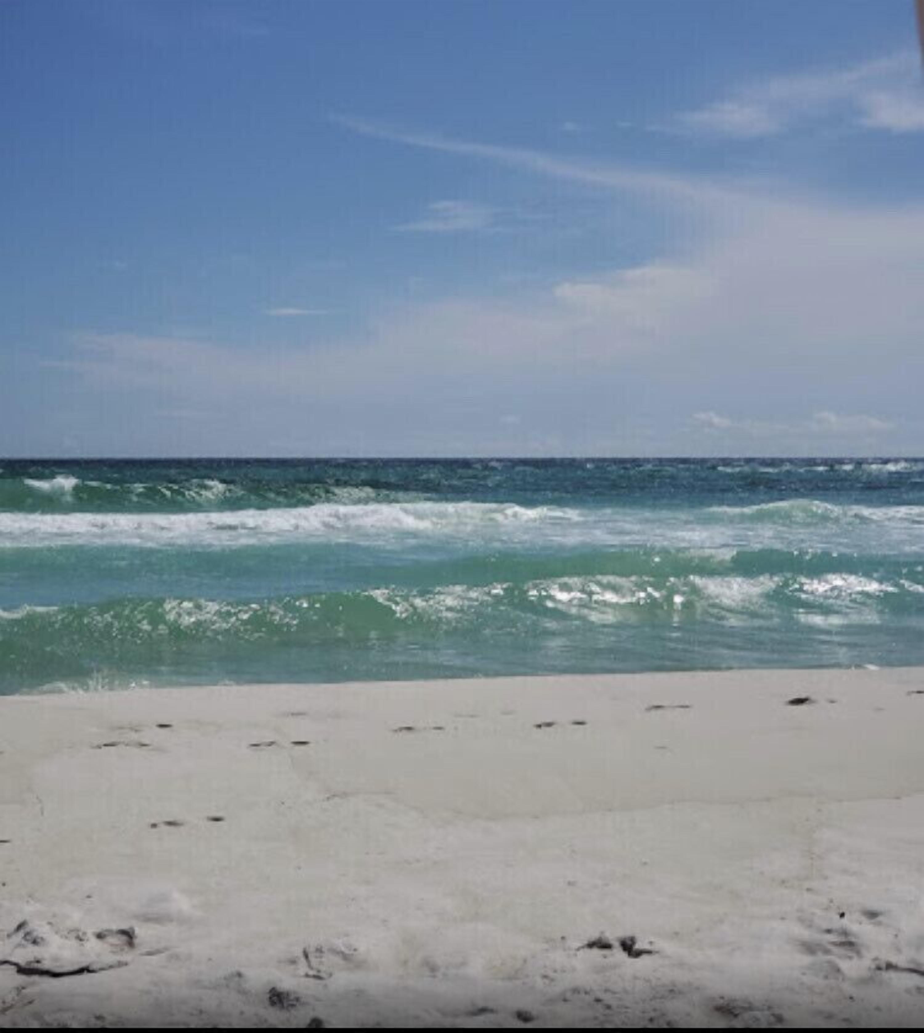 サンラウンジャー