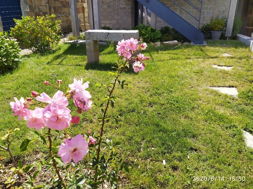 Maison de tourisme 3 étoiles, calme, terrasse et jardin, vue sur l'Odet, borne é