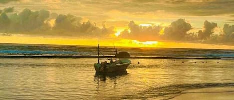 ビーチの近く、ビーチタオル、ウィンドサーフィン