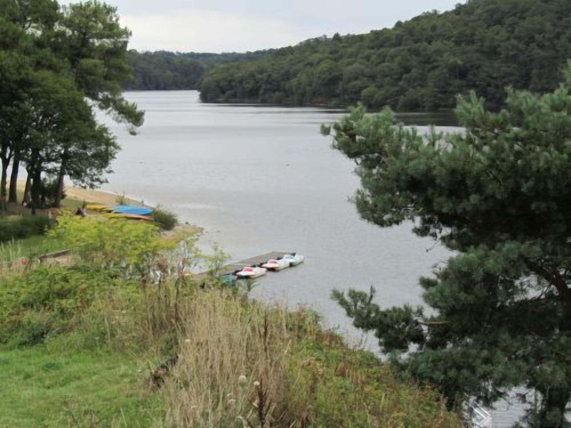Un lago tranquilo con barcos amarrados en la orilla, rodeado de árboles frondosos.