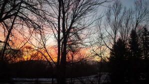A sunset with silhouettes of trees and a clear sky. - Charming and comfortable home away from home (Rapid City)
