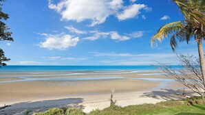 Ein Strand mit blauem Himmel, ruhigem Wasser und einer Palme.