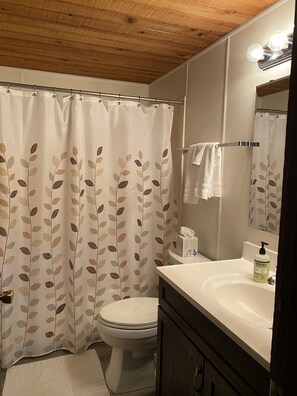 Tina con regadera, secadora de cabello, toallas, jabón 