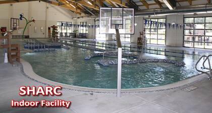SHARC Passes, Easy Walk to Village, Lodge, tennis, spa, golf