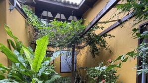 A courtyard with a tiled floor, surrounded by lush greenery and a yellow wall.