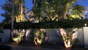 Un jardín ajardinado con palmeras y una cerca de madera.