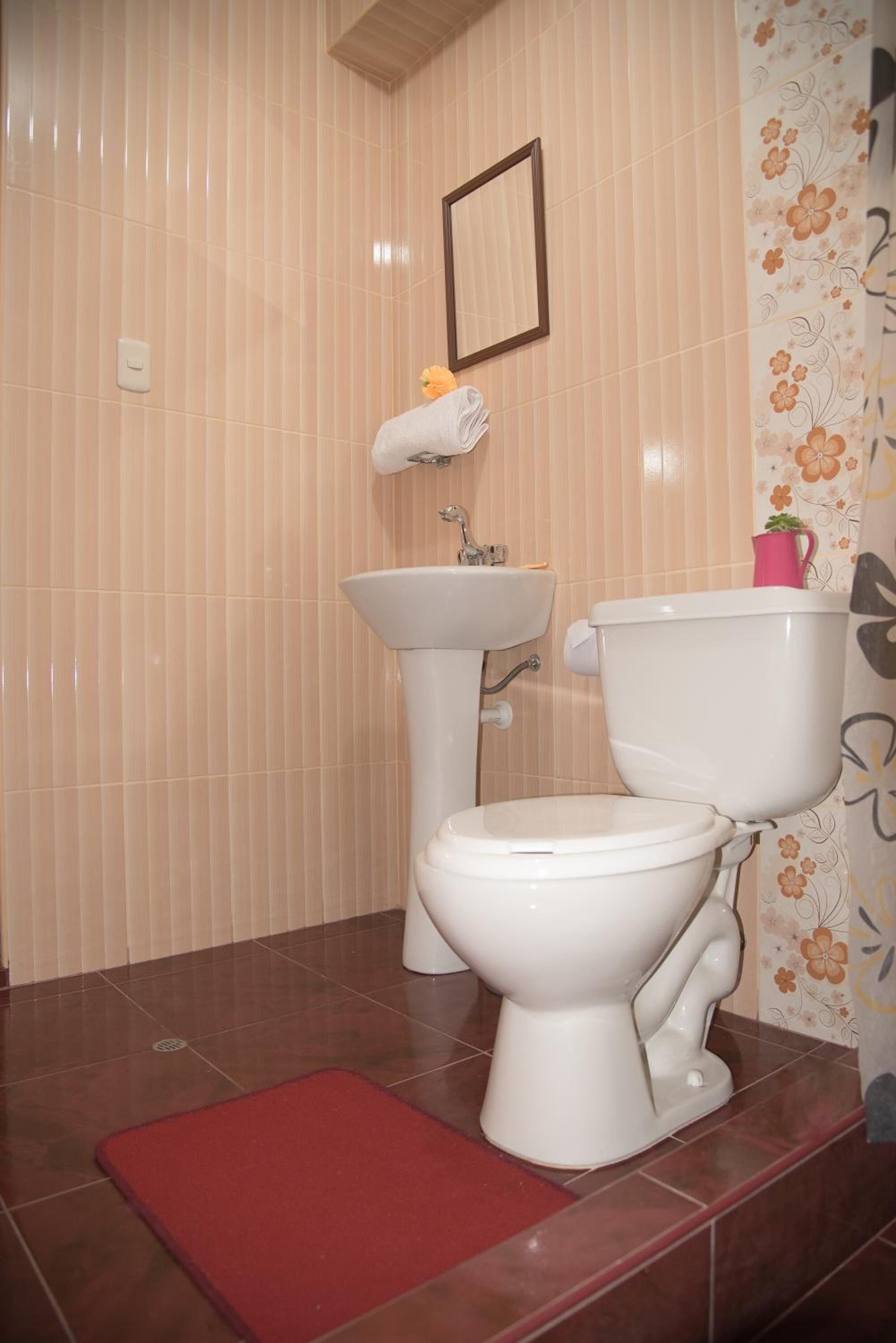 Shower, pengering rambut, handuk, dan sabun