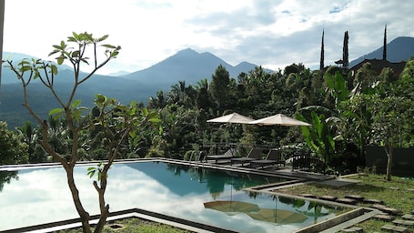 Outdoor pool, sun loungers