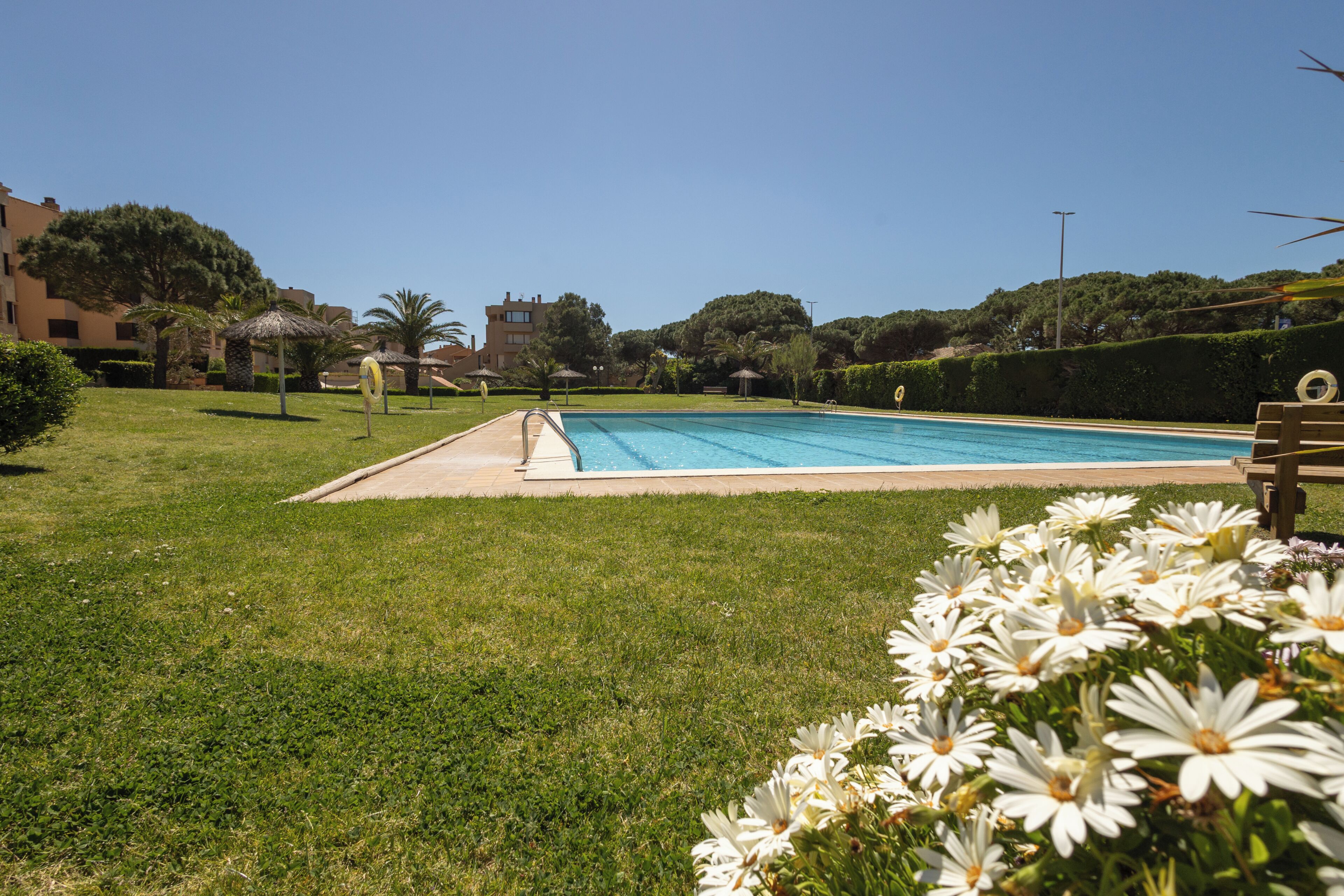 A swimming pool surrounded by grass and flowers, with buildings in the background.