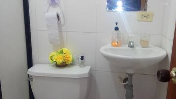 Asciugamani, sapone, carta igienica