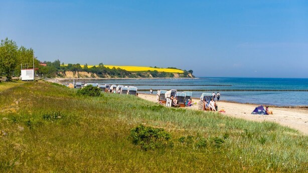 A beach with beach chairs and a tent on the sand, a grassy area in the foreground, and a clear blue sky. - Endhaus Seemöwe, Germany (Ostseebad Boltenhagen)