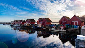 Port de plaisance