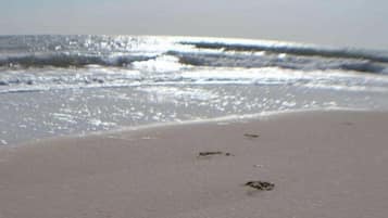 Playa en los alrededores, camastros y toallas de playa