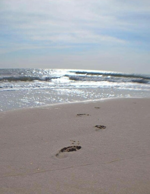 Playa en los alrededores, camastros y toallas de playa 