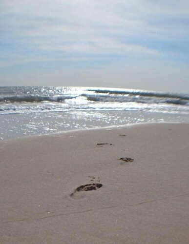 Secluded Summer Getaway - Heated Pool, Private Driveway