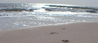 Secluded Summer Getaway - Heated Pool, Private Driveway