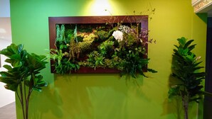 A wall-mounted vertical garden with various plants and a white flower, set against a green wall with a patterned floor. - H Boutique Hotel Xplorer Loke Yew (Kuala Lumpur)