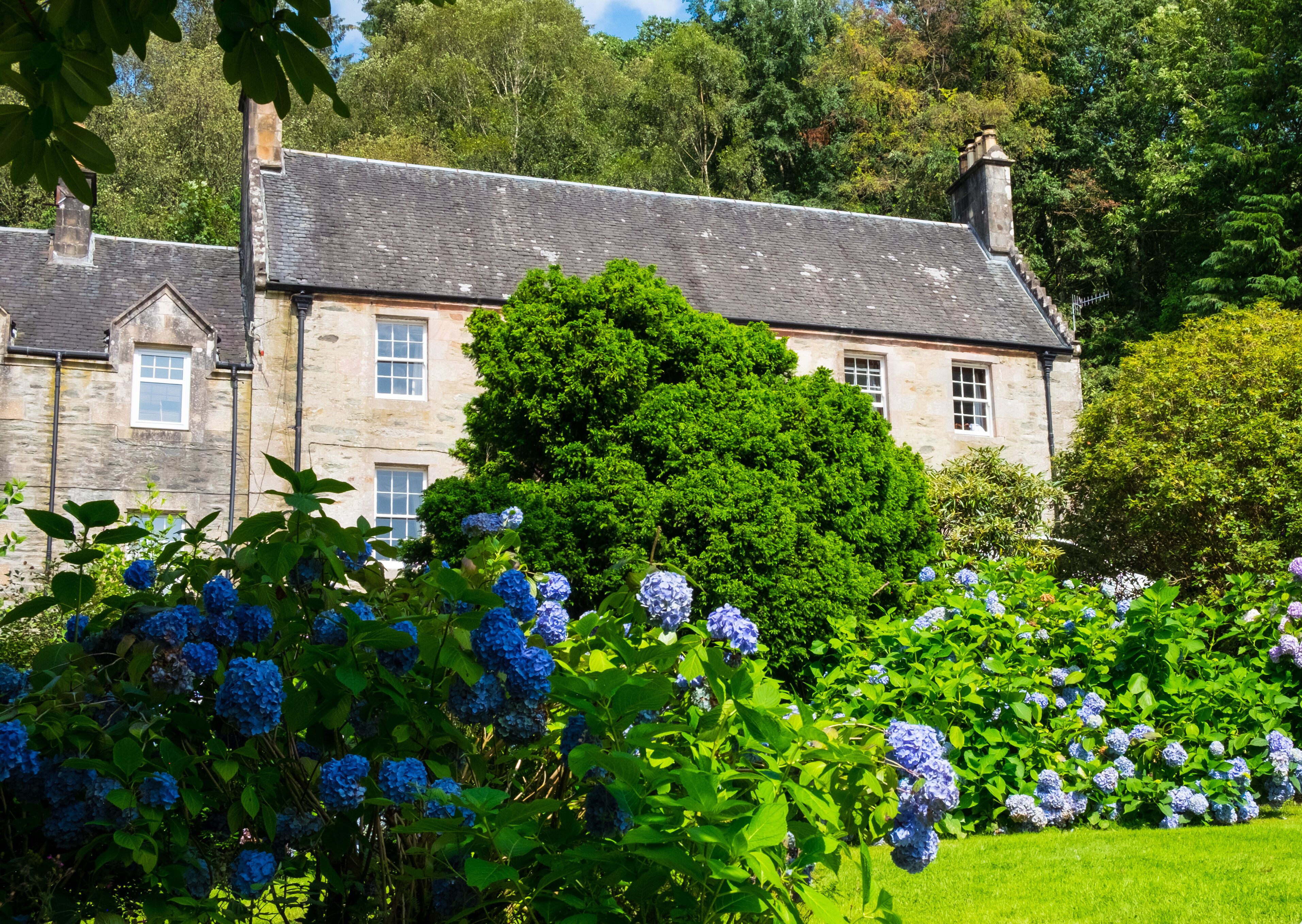 7 ห้องนอน, ผ้าปูที่นอน