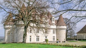 Een kasteel met meerdere torens en een grote boom op de voorgrond.