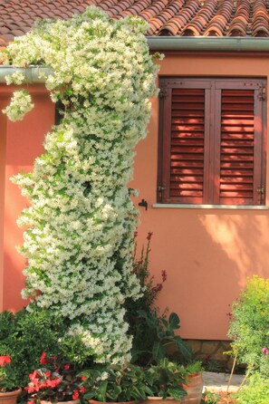 Detalle del exterior