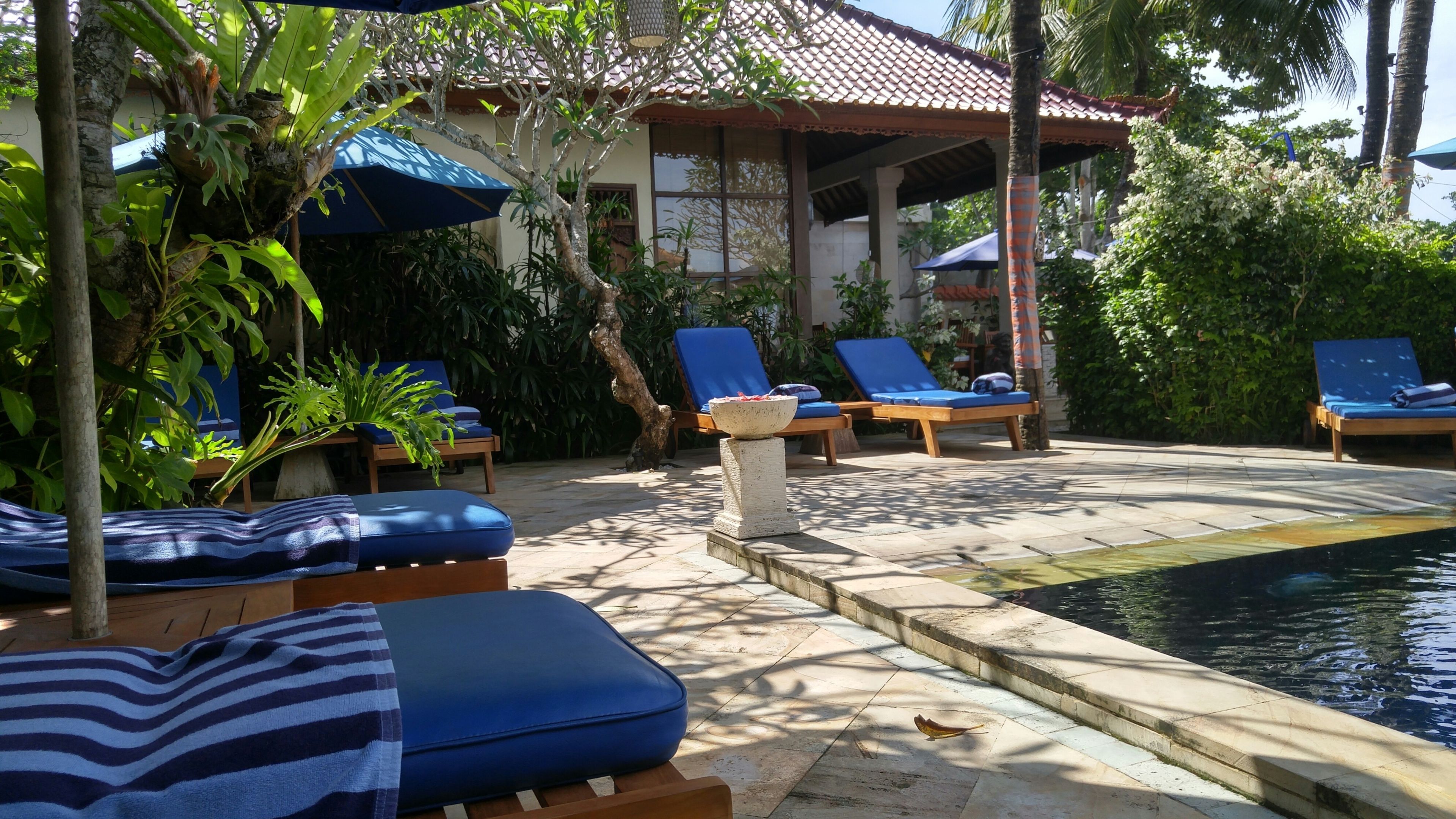 A poolside area with lounge chairs, a small pool, and surrounding greenery.