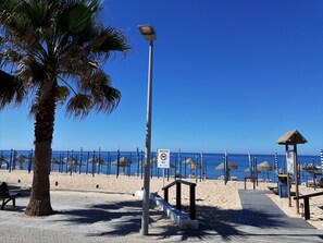 A beach with a palm tree, beach umbrellas, and a sign indicating no swimming.