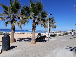 A paved walkway with palm trees, a bench, and a view of the beach and sea.