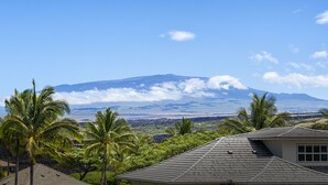 A house with a sloped roof, surrounded by palm trees, and a view of a mountain in the background.