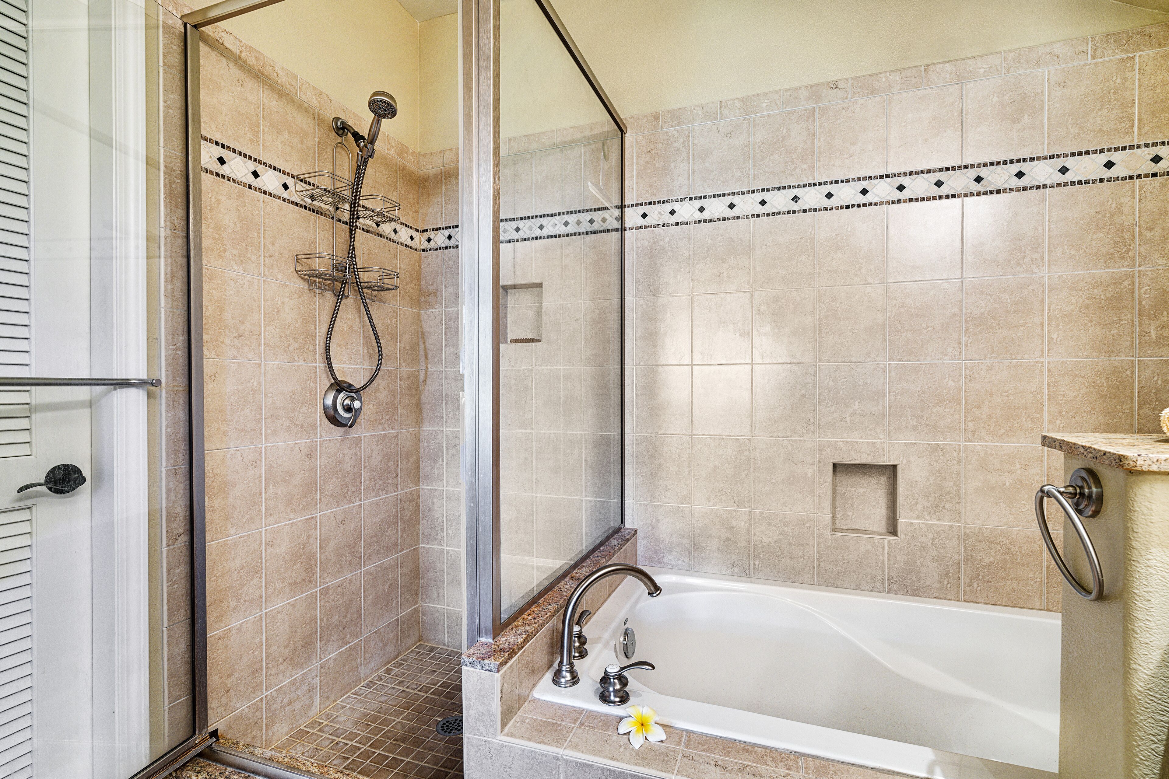 Hair dryer, towels, shampoo, toilet paper