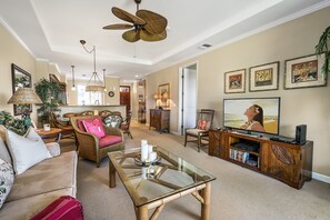 電視、DVD 播放機