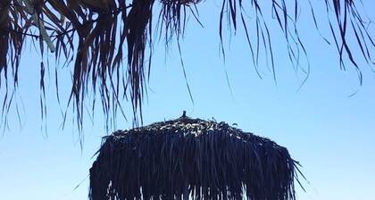 Oasis de luxe avec vue sur la mer prÚs de l'aéroport