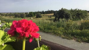 A rural landscape with fields, trees, and a road. - Luxury oasis with garden near beach and airport (Tersefanou)