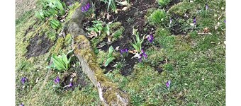 Bohemian Hidaway near Country club