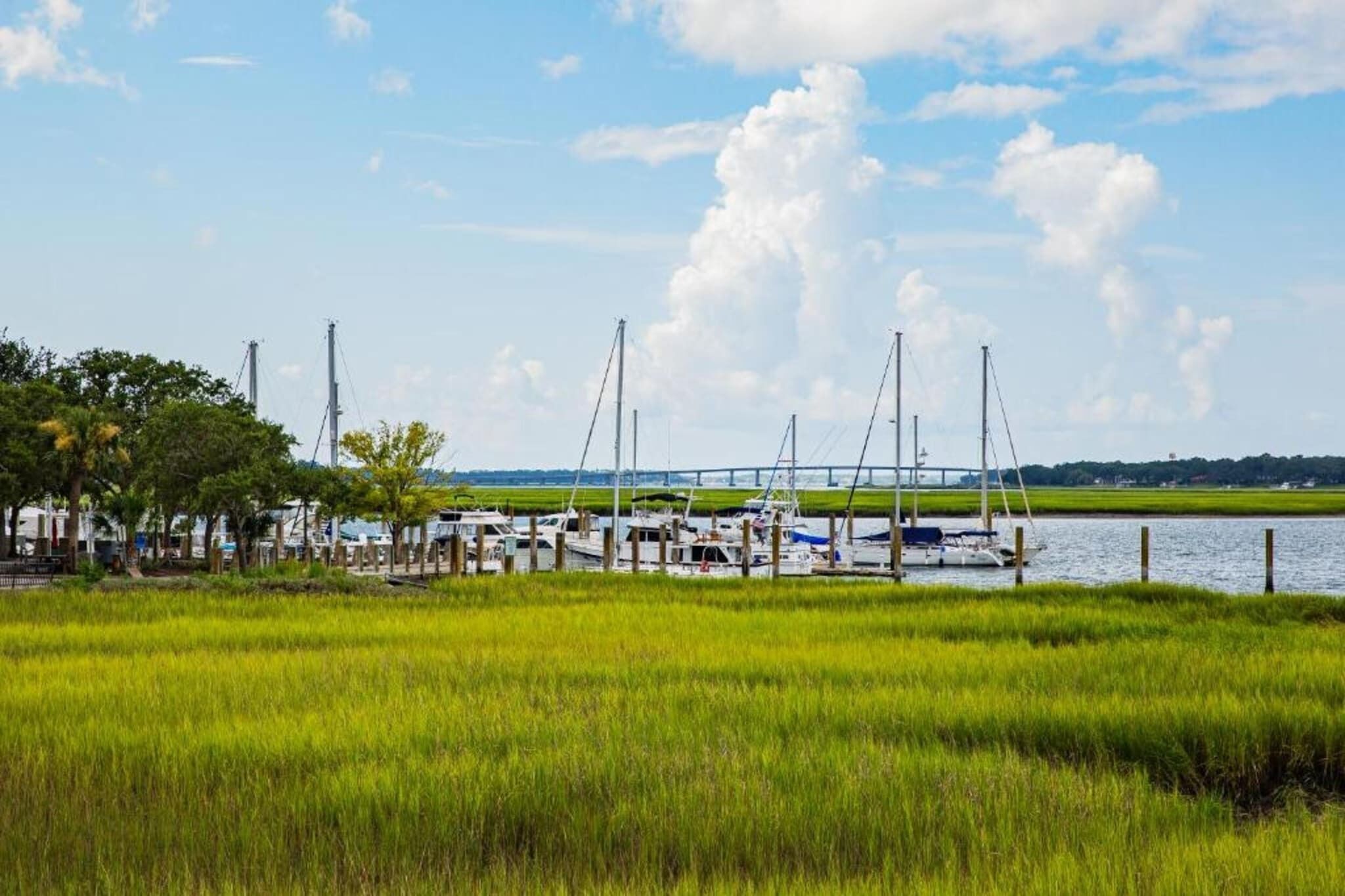 A marina with boats docked, a grassy field in the foreground, and a bridge in the background.