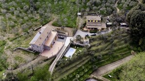 Ovenfra ses en landejendom med et stort hus, en swimmingpool og terrasserede marker.