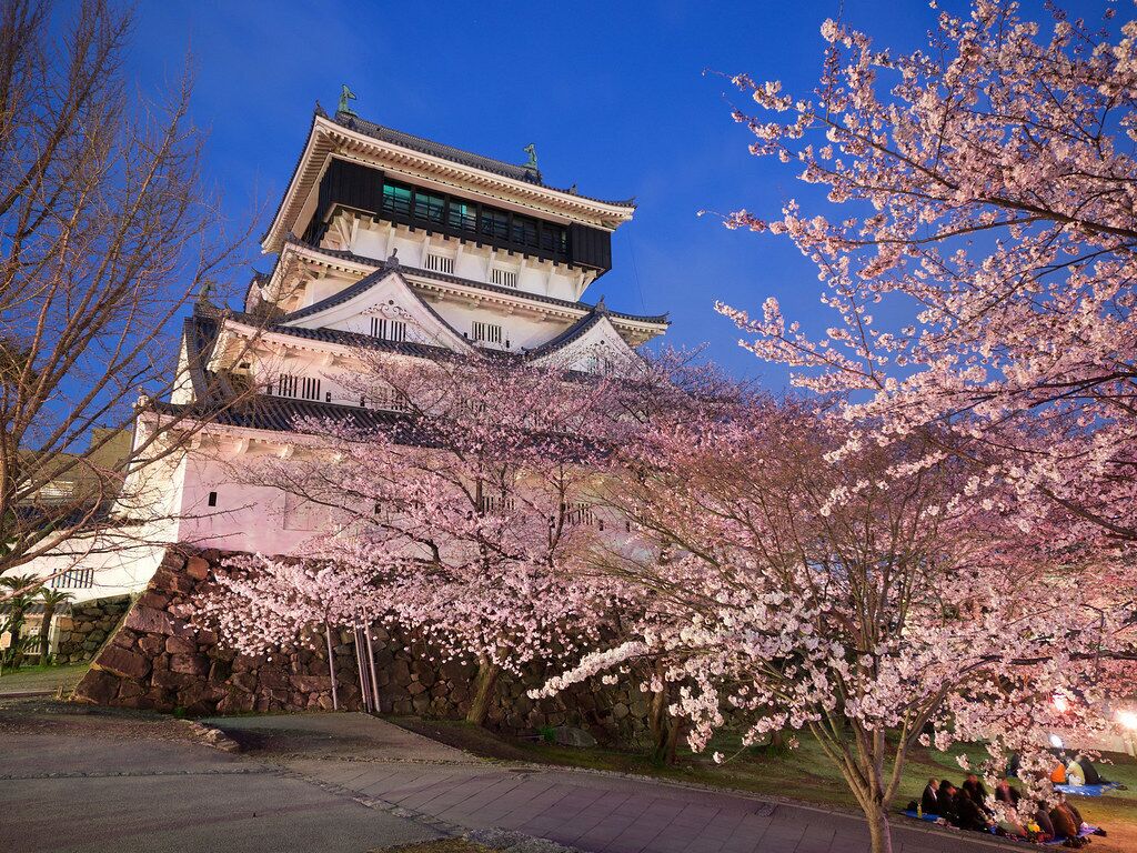 Een traditioneel Japans kasteel met een opvallende centrale toren, omringd door kersenbloesems.
