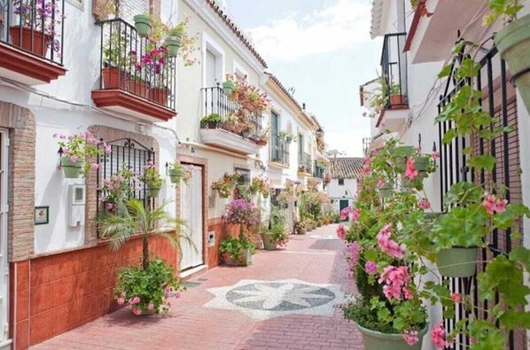 Áreas de la propiedad