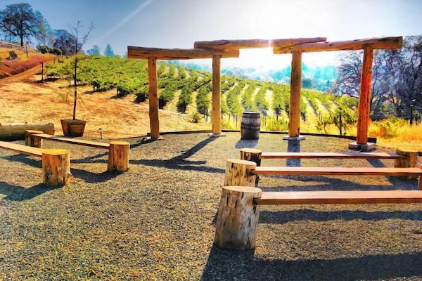 Outdoor wedding area