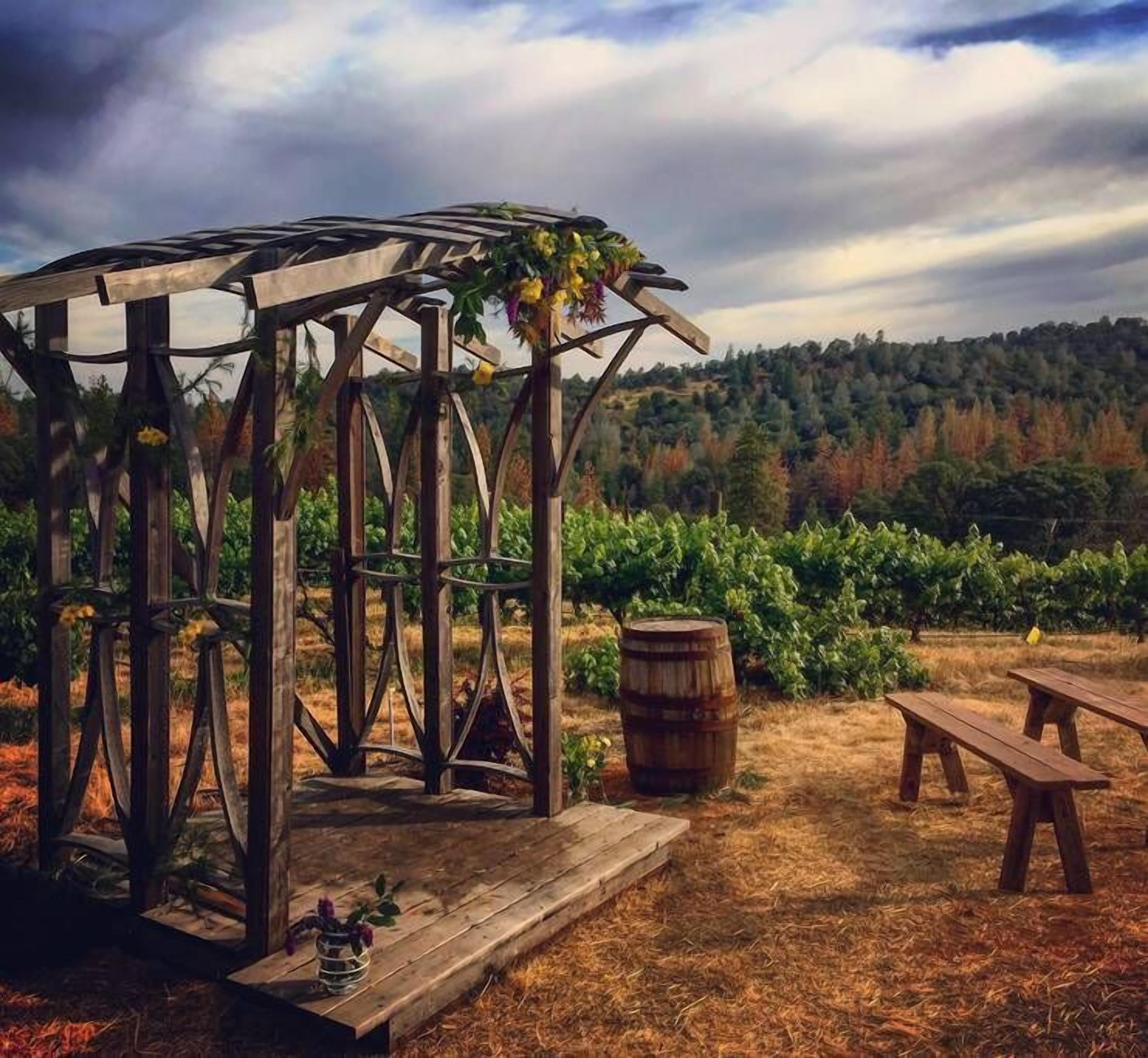 A rustic wooden gazebo with a trellis, a barrel, and picnic tables in a vineyard setting.
