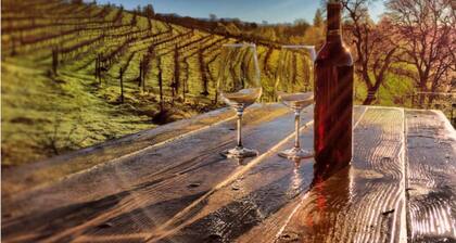 Papillon Cellars